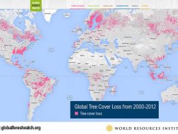 Global Forest Watch